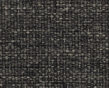 tortuga-201.jpg